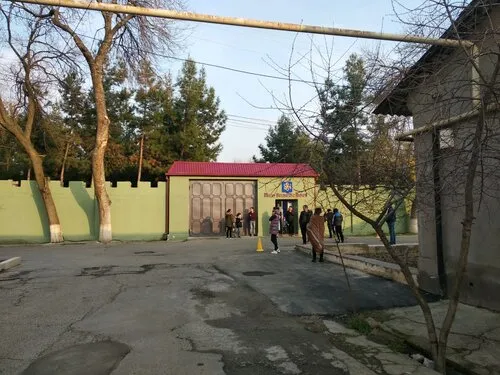 Английская гимназия New Tone