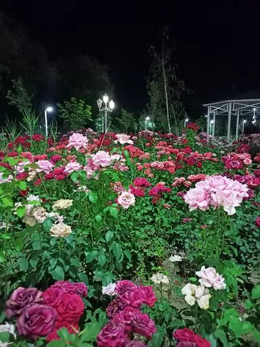Flowers Garden Park
