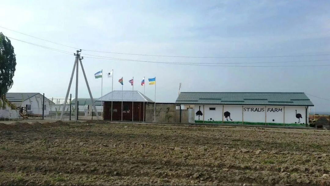 Straus Farm — страусиная ферма