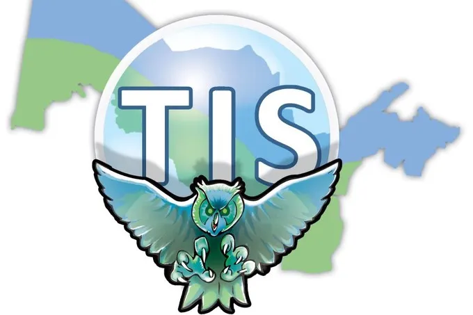 Tashkent International School